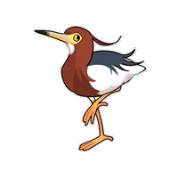 Firuo_drawingbirds heron 鷺 池鷺 chinese pond-heron Sticker