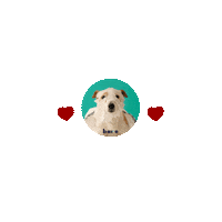 Happy Dog Wagging Tail Sticker by Bare