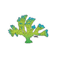 World_Wide_Corals coral aquarium wwc coral reef Sticker