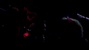 music festival GIF by Insomniac Events