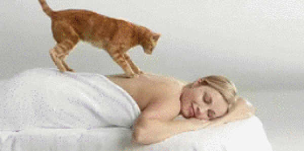 50 Easy and Fun Things to Do Online When You're Bored