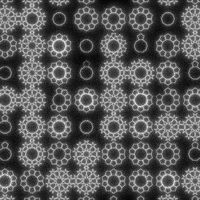 xponentialdesign art loop beauty black and white GIF