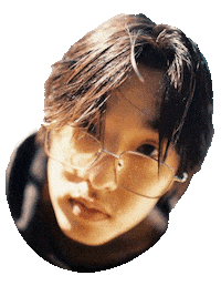 Friendly Fire Sticker Sticker