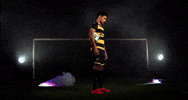 Bertin Jacquesson GIF by Pittsburgh Riverhounds SC