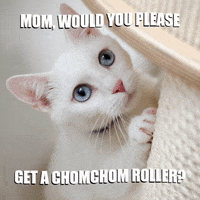 chomchomroller lint roller chomchom rollers chom chom roller chom chom rollers GIF