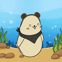 Happy Dance GIF by Sappy Seals Community