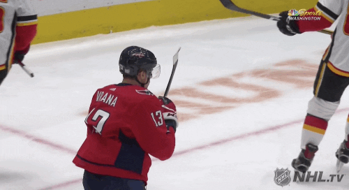 Happy Ice Hockey GIF by NHL