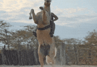Prime Video Ubaldo GIF