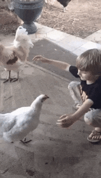 Aww Hug GIF