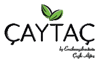 Cagla Aytac Sticker by Food & Fit