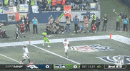 Seattle Seahawks Football GIF by NFL