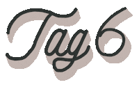 Reel Tage Sticker by ankebenen