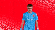 Serious Football GIF by SK Slavia Praha