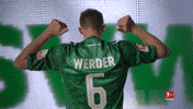 Werder Bremen Football GIF by Bundesliga