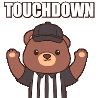 Super Bowl Win Sticker by BEARISH