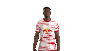 Football No Sticker by RB Leipzig
