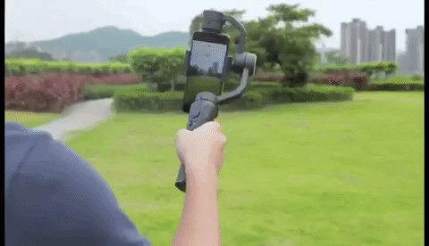 PrettyFlcko giphygifmaker GIF