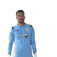 Football Sticker by PAOK FC