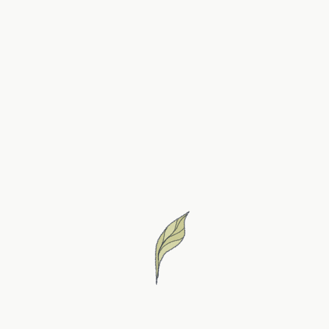 Life Growing GIF