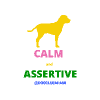 Miami Dog Sticker by Dog Club Miami