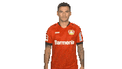 Bayer Leverkusen Reaction Sticker by Bundesliga