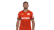 Bayer Leverkusen Reaction Sticker by Bundesliga