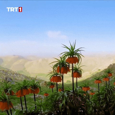 Flower Water GIF by TRT