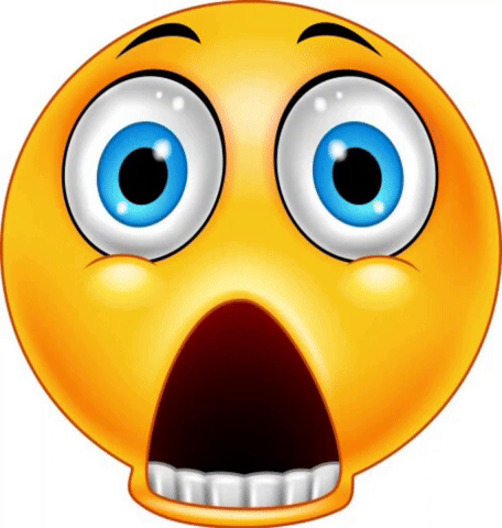 yourbliss giphyattribution omg shocked giphycreatortest GIF