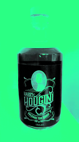 Gin Gintonic Harryhougini GIF by Harry Hougini