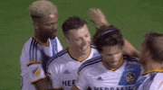 2015 icc GIF by International Champions Cup