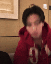 Stray Kids Skz GIF