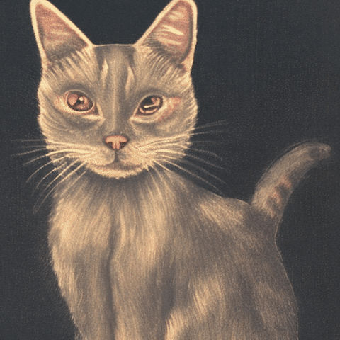 freQuensy23 giphyupload GIF