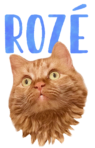 Cat Ginger Sticker