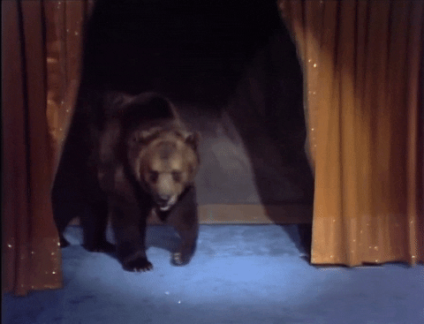 Grizzly Bear GIF by The Eric Andre Show