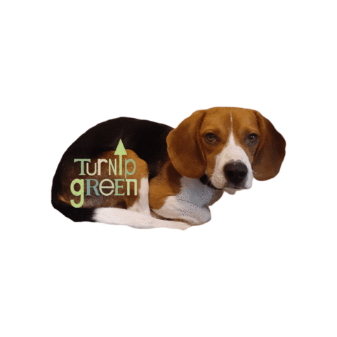 Sticker by Turnip Green Creative Reuse