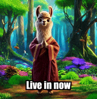 Awareness Wisdom GIF by dalaillamazen