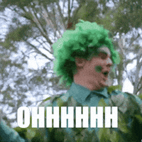 Dance Lol GIF by The Wiggles