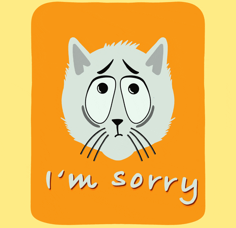Sorry Cat GIF