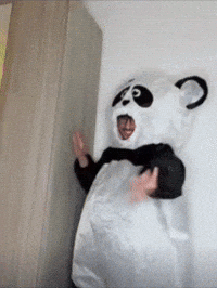 Panda Dancing GIF