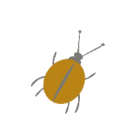 Spring Vaquita Sticker