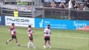 South Carolina Goal Celebration GIF by Charleston Battery