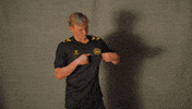 South Carolina Soccer GIF by Charleston Battery