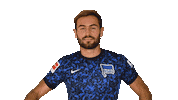 Home Bundesliga Sticker by Hertha BSC