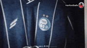 Esteghlal GIF
