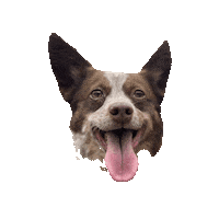 Pam Sticker by Paws Around Motown