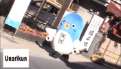 japan fly GIF