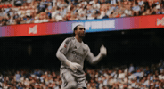 Arsenal Community Shield GIF by memes