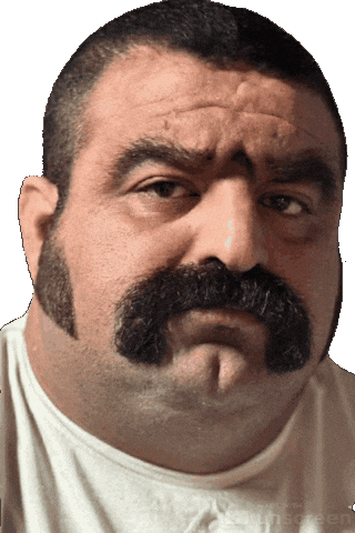 Bear Dad GIF by Database數據