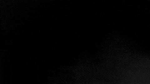 Memphis Basketball GIF by Memphis Athletics