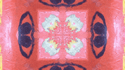 Art Design GIF by jorgemariozuleta